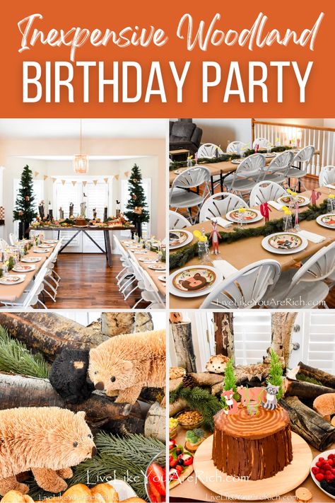 Recently, my youngest child turned two; I put together an inexpensive Woodland Birthday Party to celebrate with family and friends. From rustic table settings to nature-inspired party favors, our ideas will make your child's special day unforgettable. Check out on the blog for more inspiration on throwing an affordable and whimsical woodland party! Nature, Woodland Creatures Party Decorations, Elk Birthday Party, Forest Animal Birthday Party Decoration, Woodland Birthday Party Favors, Woodland Camping Birthday Party, Woodland Animal First Birthday Party, Woodland Forest Birthday Party, Woodland Theme Party Favors