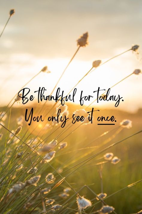 Friday Morning Quotes, Grateful Quotes, Thankful Quotes, Inspirerende Ord, Good Morning Sunshine Quotes, Sunshine Quotes, Today Quotes, Sunday Quotes, Thanksgiving Quotes