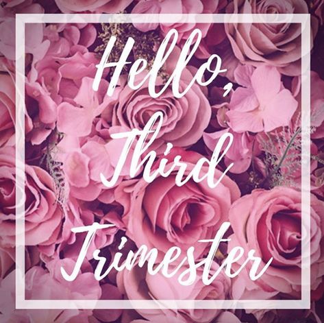 #pregnancy #thirdtrimester 3rd Trimester, Hello 3rd Trimester, Hello Third Trimester, Third Trimester, Neon Signs, Quick Saves