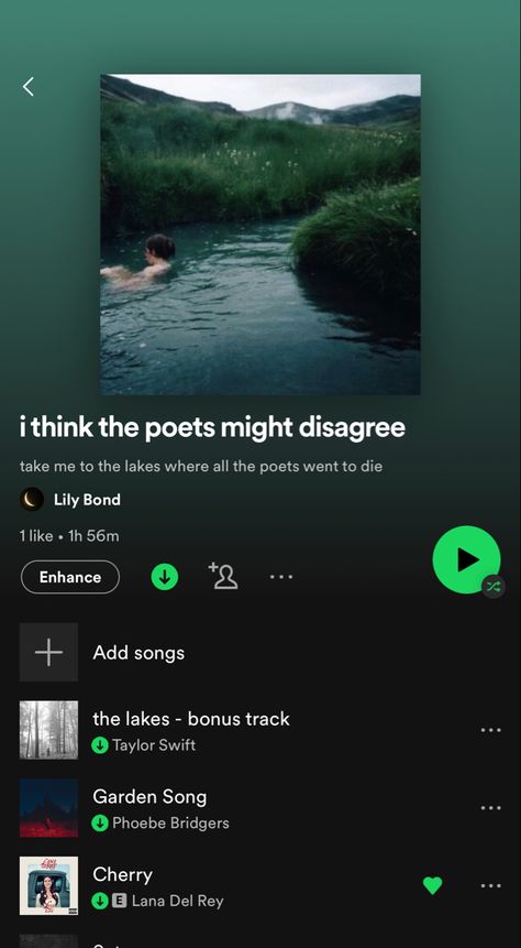 I Think The Poets Might Disagree, Take Me To The Lakes Where All The Poets, Music Checklist, Taylor Swift The Lakes, The Lakes Taylor Swift, Take Me To The Lakes, Song Recs, Weird Songs, Mood Music