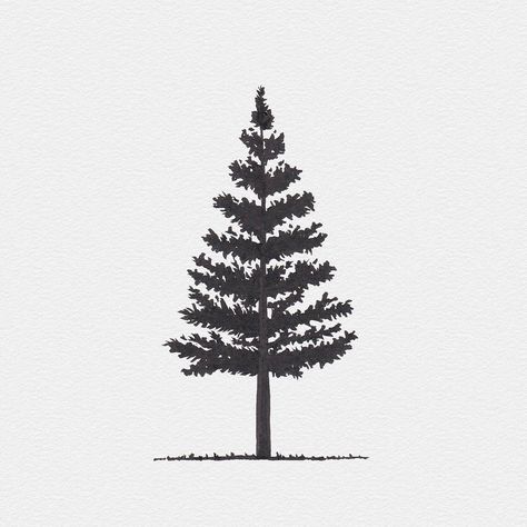 Logos, Fir Tattoo Trees, White Pine Tattoo, Tree Line Drawing, Balsam Fir Tree, Snow Tattoo, Pine Tattoo, Pine Tree Drawing, Douglas Fir Tree