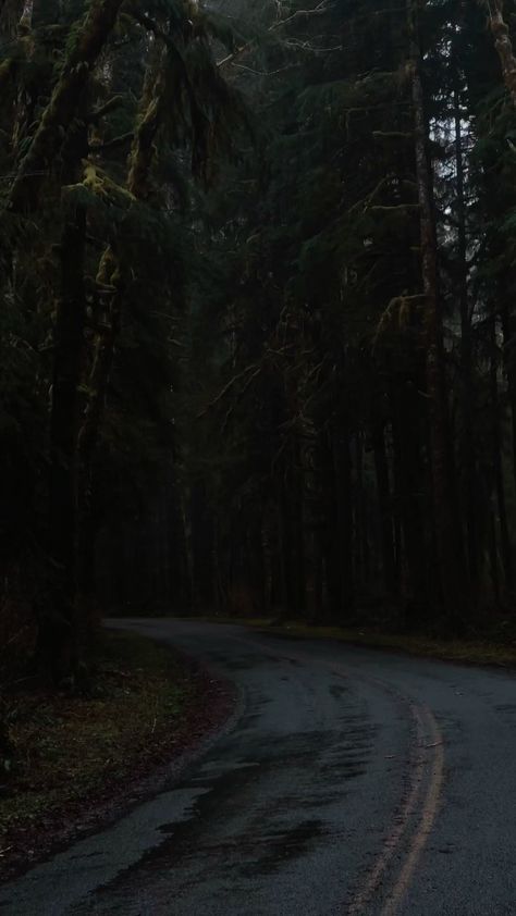 Nature, Bonito, Dark Storm Aesthetic, Stormy Forest Aesthetic, Dark And Stormy Aesthetic, Dark Stormy Weather Aesthetic, Black Aesthetic Nature, Dark Folklore Aesthetic, Stormy Night Aesthetic