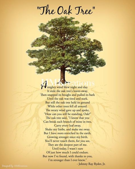 Oak Tree Wallpaper, Oak Tree Poem, Fashion Core, Citation Nature, Forward Quotes, The Tao Of Pooh, Tree Poem, Tree Quotes, Now Quotes