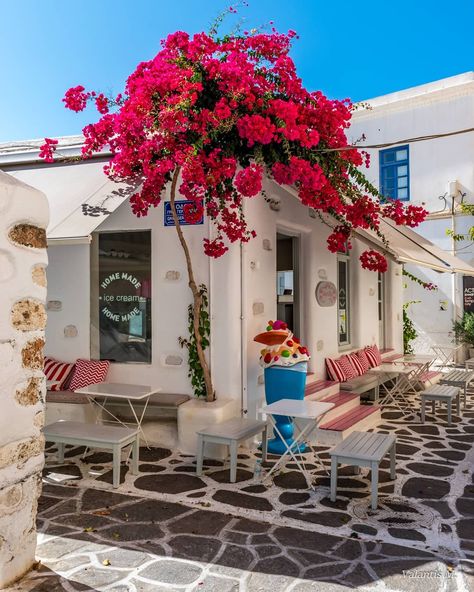 Amazing Paros Island 😍 😍 From 1 to 7 which is your favorite village shot ? 1 prodromos 2 marpisa 3 naousa 4 paroikia 5 lefkes 6 kostos 7… Greece Itinerary, Best Greek Islands, Paros Island, Paros Greece, Greece Beach, Greece Photography, Greece Travel Guide, Earth Pictures, Greece Islands