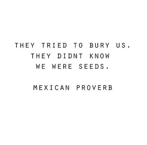 Daily Motivation, Mexican Proverb, Mexican Quotes, Insperational Quotes, Unconditional Love Quotes, Proverbs Quotes, Truth Quotes, Love Love Love, Love Love