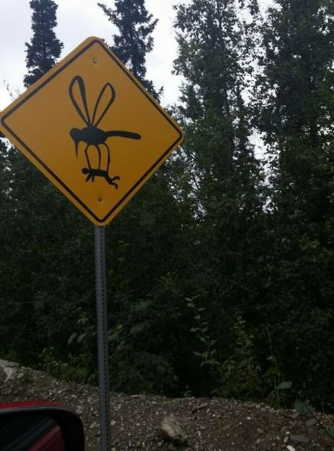 Humour, Funny Road Signs, Strange Signs, Spooky Signs, Make Em Laugh, Road Sign, Spooky Scary, Road Signs, Twisted Humor