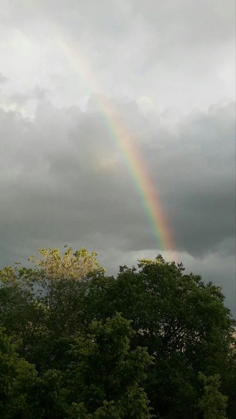 Nature, Rainbow In The Sky Photography, Rainbow Pics Sky, Sky Pics Instagram Story, Rainbow Photography Nature, Gods Promise, Nature Photography Quotes, Nature Rain, Rainy Sky