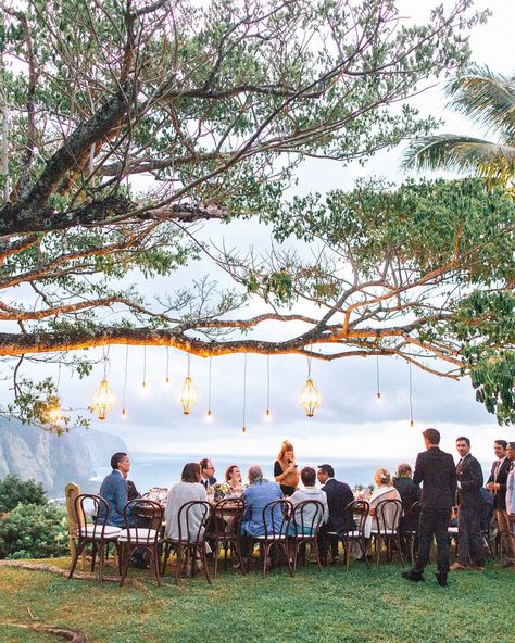 rebecca eryck wedding hawaii reception table tree lights guests Wedding Ceremony Ideas, Cliffside Wedding, Wedding In Hawaii, Small Weddings, Outdoor Wedding Reception, Couples Intimate, Long Table, Martha Stewart Weddings, Wedding Dinner