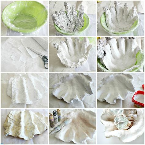 Seashell Crafts, Plaster Roll Crafts, Bush Tutorial, Giant Clam Shell, Giant Clam, Shells Diy, نباتات منزلية, Under The Sea Theme, Cement Crafts
