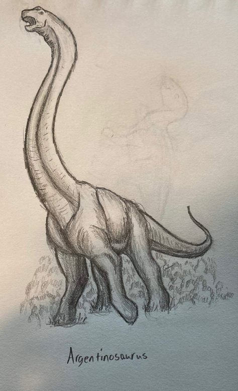 This massive herbivore made an awesome sketch. I had fun with this one Sketch Of Dinosaur, Cool Dinosaur Drawings, Realistic Dinosaur Drawing, Drawing Ideas Dinosaurs, Apatosaurus Drawing, Dinosaur Sketch Realistic, Dinosaur Sketch Easy, Dinasors Drawing, Dinasour Drawing Simple