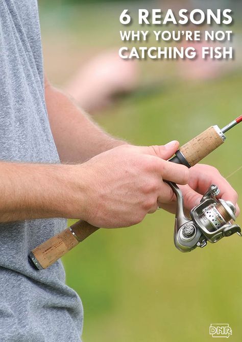 6 reasons why you're not catching fish | Iowa DNR Fishing Pond, Trout Fishing Tips, Fly Fishing Tips, Bass Fishing Tips, Fishing Rigs, Astuces Diy, Fishing Techniques, Fishing Supplies, Freshwater Fishing