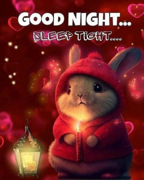 Goodnight Cute, Good Night Blessings Quotes, Sweet Dreams Sleep Tight, Sweet Dream Quotes, Heartwarming Quotes, Photos Of Good Night, Good Night Prayer Quotes, Good Morning Hug, Good Night Funny
