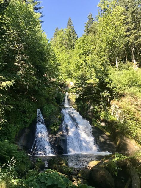 Nature, Freiburg, Federal, Black Forest Germany, The Black Forest, Black Forest Cake, Life Map, Forest Cake, Picnic Spot