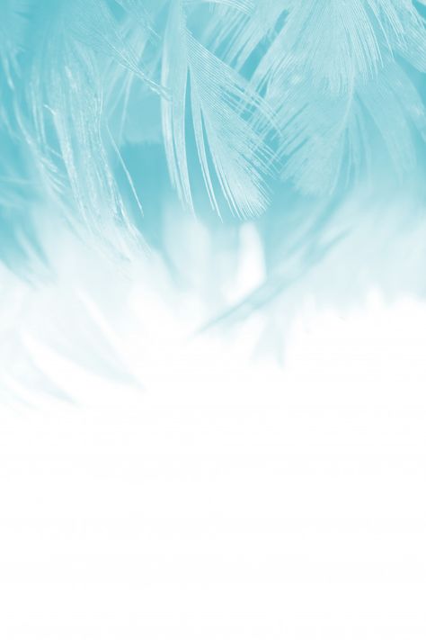 Blue Feather Background, Feather Background For Editing, Feathers Background, White And Blue Background, White Pattern Background, Black Phone Background, Blue And White Background, Blue Background Patterns, Feather Background