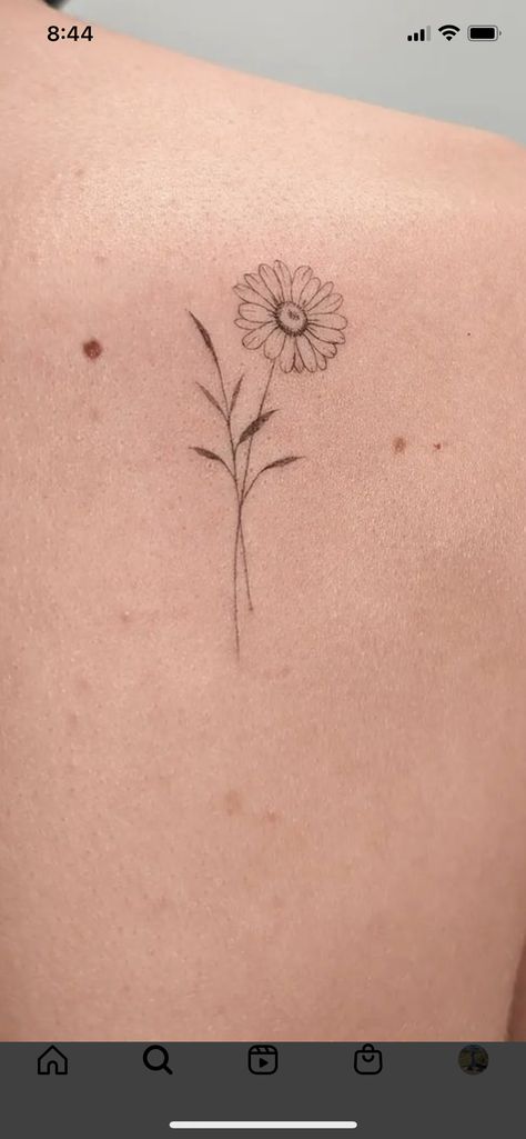 Unleash your creativity with our unique collection of tattoo sketches! Simple Gerber Daisy Tattoo, Sunflower Tattoo Tiny, Daisy Tattoo On Ribs, Daisy Tattoo Designs Small, Simple Aster Tattoo, Simple Flower Tattoo Ideas, Simple Daisy Tattoo Designs, Daisy Tattoo Flower, Aster Fine Line Tattoo