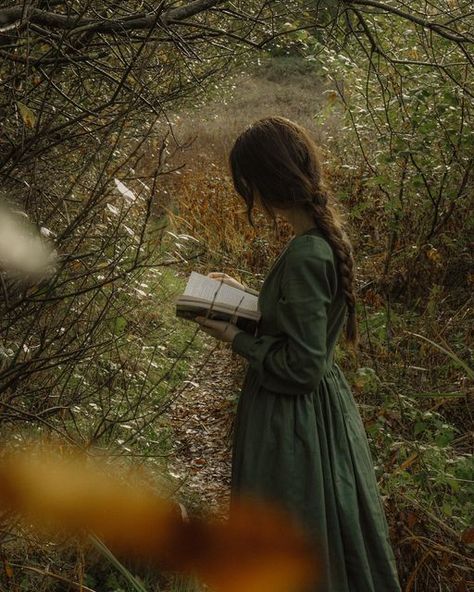 Golden Morning, Emily Brontë, Lost In The Woods, The Grey, In The Woods, The Mountain, Lost, Green