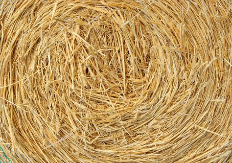 Cob Houses, Straw Bales, Straw Bale, Cob House, Earth Homes, Free Textures, Background Texture, Fishing Trip, Graphic Patterns