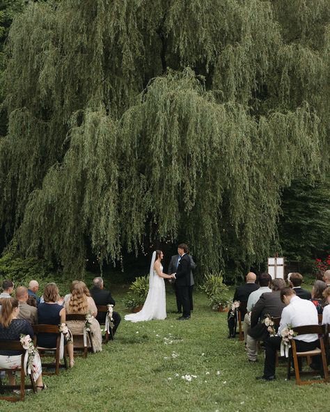 my favorite part about the holton’s wedding day was that their ceremony was under a willow tree!!!!! had to make another post for appreciation of the most beautiful intimate wedding 🫶🏼 • • • venue: @honeysucklehills • Under A Willow Tree, Outside Wedding Ceremonies, Montana Glacier National Park, Tree Wedding Ceremony, Park Wedding Ceremony, Willow Tree Wedding, Intimate Wedding Venue, A Willow Tree, Wedding In The Mountains