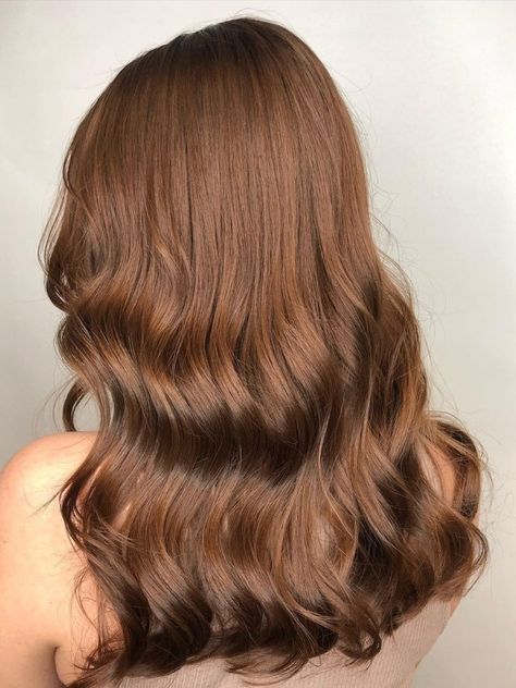 Balayage, Chesnut Brown Hair, Colours For 2023, Hazelnut Hair Color, Brown Hair Colours, Hazelnut Hair, Warm Brown Hair Color, Hair Color Brown Chestnut, Warm Brown Hair