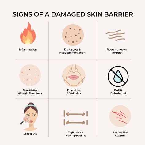 Healthy Skin Tips, Damaged Skin Barrier, Esthetician Marketing, Skin Facts, Skin Care Business, Skin Advice, Skin Aesthetics, Skin Science, Skin Clinic