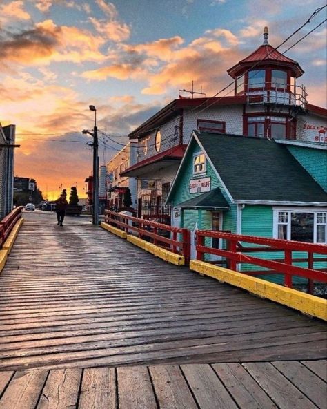 British Columbia, Prince Rupert, Vast Ocean, Local Shops, Ocean Views, Travel Inspo, Ocean View, Beautiful Views, West Coast