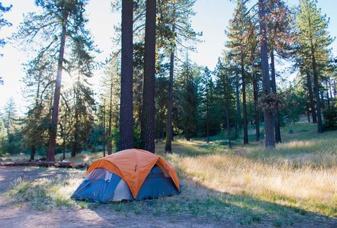 Olive Oil Tasting, Los Padres National Forest, Ojai California, California Camping, Tent Site, Spiritual Retreat, Camping Destinations, Redwood Forest, Camping Checklist