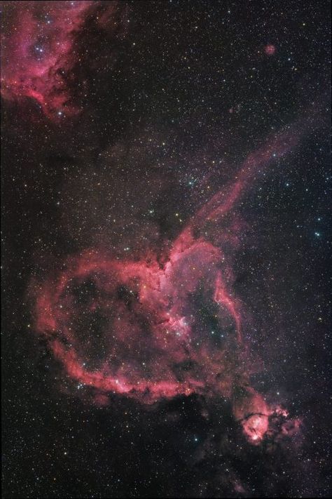 EarthSky | Heart Nebula, long exposure, from Iraq Hubble Space Telescope, Heart Nebula, Hubble Pictures, Nebula Wallpaper, Space Photography, Galaxy Pictures, Hubble Space, Look At The Sky, Wallpaper Space