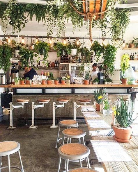 "When you walk into this plant-based eatery and juice bar, you'll first notice the greenery filled corners and raw wood shelves filled with dripping ferns, ivy, and philodendron."  Thanks to @DominoMag and @dicksontwong for the feature ! (📷: @aliceeyuu ) Photos For Vision Board, Juice Bar Interior, Cafe Plants, Juice Bar Design, Small Coffee Shop, Coffee Shop Interior Design, Coffee Shops Interior, 카페 인테리어 디자인, Coffee Shop Decor