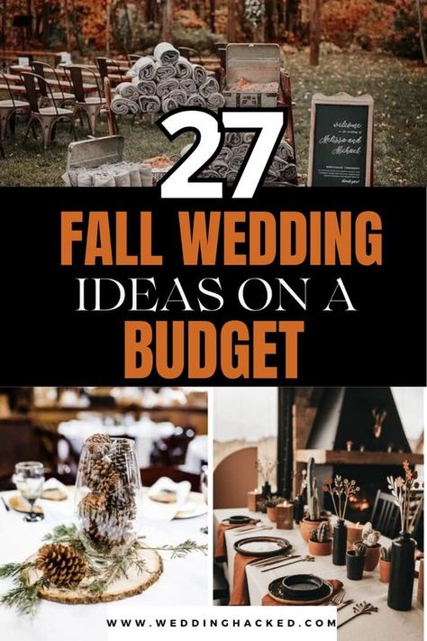 27 Stunning Fall Decor Centerpieces Ideas On A Budget: Low Cost, Elegant & Romantic. This post goes over how you can use the beauty of nature in the fall season to craft stunning fall decor while looking expensive! Budget Fall Wedding Decor, Nature, Using Mums For Wedding, Large Wedding On A Budget, Fall Decorations For Wedding, Table Decorations For Fall Wedding, Unique Fall Wedding Centerpieces, Fall Wedding Ideas On A Budget Diy, Diy Centerpieces Wedding Fall