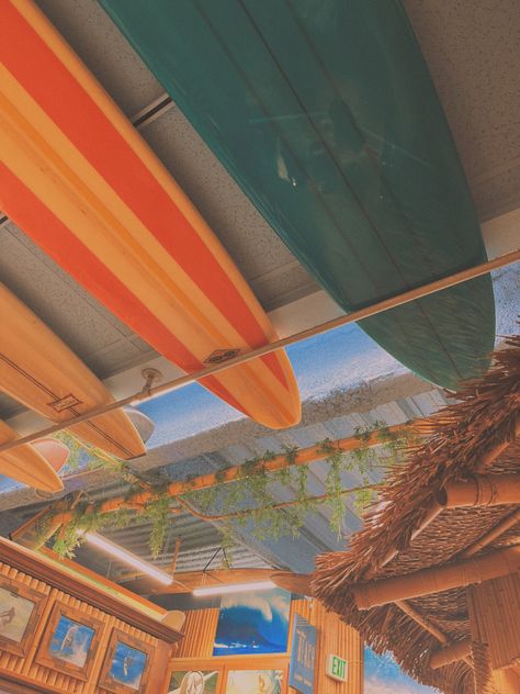 #beachy #beach #aesthetic #surf #waves #vsco #summer #vibes #trendy #fun #inspo #daytrip #vacay #chill #sunshine #surfer #seashell #girlstrip #fun #shopping #surfboard #ocean #oceanlife #aloha #tropical #getaway #adventure monterey | california | day trip | girls trip | surf shop | beach aesthetic | aesthetic | surfer | vsco | summer | ocean | sea | waves | beach | beachy | adventure | shop | chill | aloha Surf Widget Aesthetic, Surfer Beach Aesthetic, 2016 Beach Aesthetic, Surfer Aesthetic Wallpaper, Chill Beach Aesthetic, Surf Vibes Aesthetic, Summer Aesthetic Widget, 90s Beach Aesthetic, Beach Aesthetic Surf