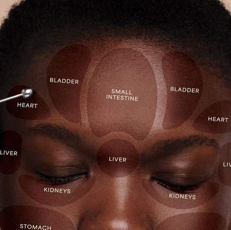 Wildling on Instagram: "Facial reflexology with the NEW Reflexology Spoon🥄 stimulates pressure points that help to free the flow of energy in the body. It also releases tension in the muscles of the face to assist skin health and wellness. • Designed by Wildling founders, an acupuncturist and holistic esthetician with thousands of hours doing facial treatments. Use the skincare scoop to keep your products free from contamination. Work them into the skin with the rounded reflexology tip. Shop li Holistic Aesthetician, Facial Pressure Points, Facial Mapping, Holistic Esthetician, Facial Reflexology, Home Facial Treatments, Facial Fitness, Face Muscles, Face Sculpting