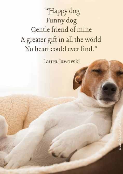 Nature, Dog Poems Love, Dog Poems Happy, Cosy Quotes, Happy Birthday Dogs, Dog Quotes Inspirational, Happy Dogs Funny, Laura Jaworski, Funny Dog Art