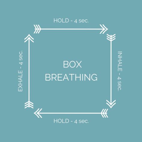 Box Breathing is a spiritual tool that can calm the fight or flight response, aid emotional regulation, and center us in the present moment. Box Breathing, Yoga Breathing Techniques, Flight Response, Relaxation Response, Calming Techniques, Relaxation Exercises, Breathing Meditation, Yoga Breathing, Grounding Techniques