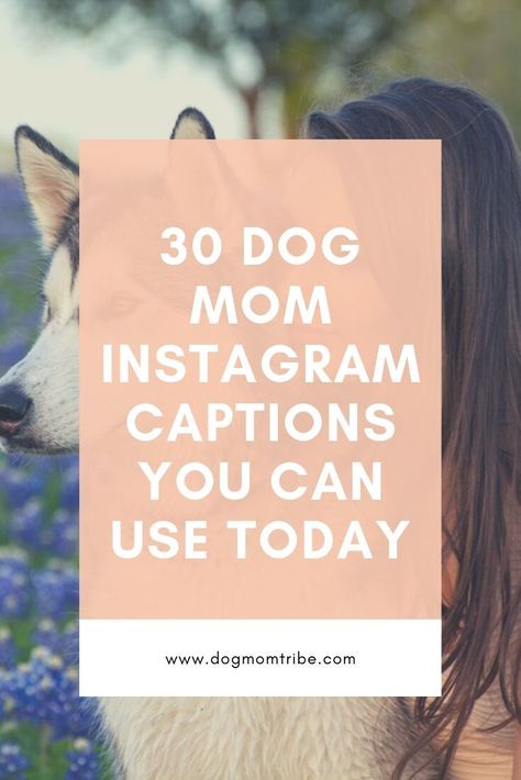 Need to find the perfect Instagram caption for the post of your lovable fur child? Check out these 30 share-worthy dog mom quotes that you can use today for. your posts! #dogquotes #doglovers #doggies #dogmoms Dogs Life Quotes, Caption For Your Dog, Puppies Captions Instagram, Two Dogs Quotes, Insta Caption For Dogs, Puppy Mom Quotes, Quotes About My Dog, Cute Dog Ig Captions, Quotes With Dogs Instagram
