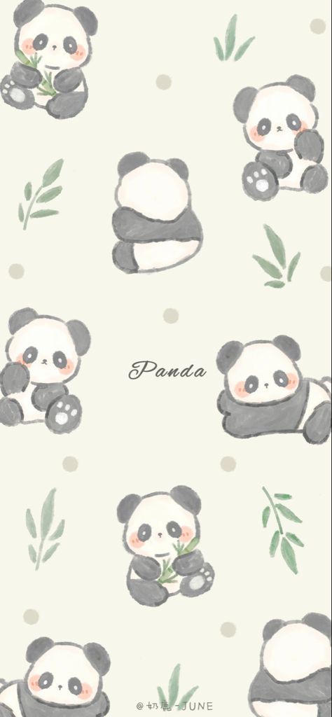 Wallpaper Backgrounds Classy, Panda Kawaii Wallpaper, Aesthetic Wallpaper Panda, Cute Panda Aesthetic, Panda Cute Aesthetic, Aesthetic Panda Wallpaper, Cartoon Panda Wallpaper, Kawaii Panda Drawing, Cute Panda Wallpaper Iphone