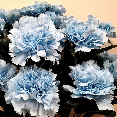 Flowers Aesthetic Blue, Aesthetic Blue Flowers, Blue Flowers Aesthetic, Flower Bouquet Blue, Flower Garden Design Ideas, Garden Ideas Flower, Blue Flower Bouquet, Flower Gardening Ideas, Flower Garden Ideas