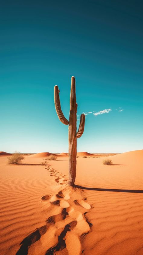 Desert landscape, lone cactus, standing resilient against sandy backdrop. Nature photography, cactus background, low angle shot, bright sunlight, desert minimalism, solitary silhouette, sandy expanse, arid contrast, desert's monument, sparse backdrop, minimalistic background. --ar 9:16 Nature, Desert Dunes Photography, Desert Pictures Photography, Mexican Desert Landscape, Cactus Digital Art, Desert Minimalism, Desert Cactus Photography, Desert Reference, Dessert Landscape