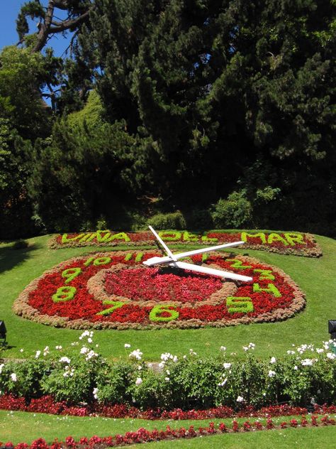 Flower Clock, Vina del Mar Santiago, Vina Del Mar Chile, Flower Clock, Vina Del Mar, Overseas Travel, Easter Island, Incredible Places, Travel Around The World, Travel Around