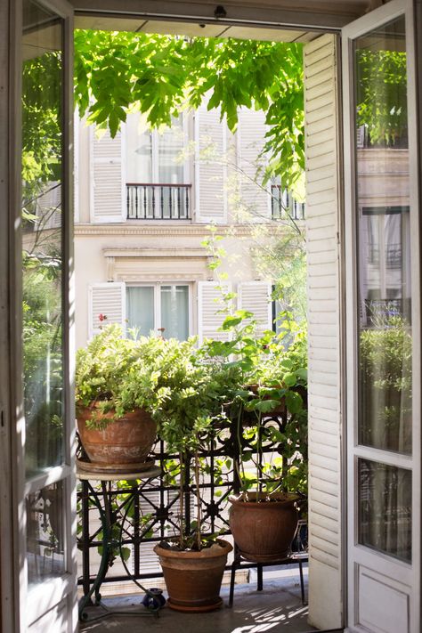 How to Garden Like a Frenchwoman: 10 Ideas to Steal from a Paris Balcony Parisian Balcony, Paris Balcony, Balkon Decor, Small Urban Garden, French Balcony, Apartment Balcony Garden, Small Balcony Garden, Balkon Design, Small Balcony Design