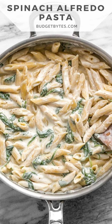 Pasta Alfredo Receta, Dinner Recipes Chicken Healthy, Chicken Healthy Dinner, Spinach Pasta Recipes, Spinach Alfredo, Dinner Recipes Chicken, Recipes Healthy Dinner, Pasta Alfredo, Pasta Recipes Alfredo