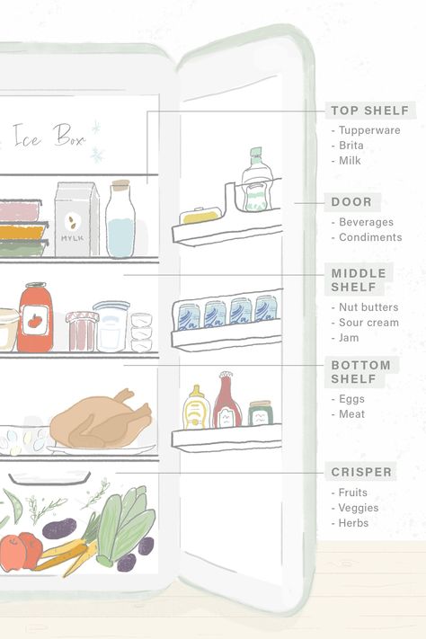 Organisation, Small Fridge Organization, Mtv Cribs, Small Fridges, Fridge Storage, Kitchen Organisation, Refrigerator Storage, Refrigerator Organization, Kitchen Hacks Organization