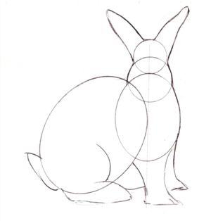 Hop to It and Learn to Draw a Bunny Rabbit with These Easy Steps: Draw a Bunny - Add Ears, Feet and Tail Draw A Rabbit, Draw A Bunny, Rabbit Drawing, Bunny Painting, Rabbit Painting, Bunny Drawing, Rabbit Art, Bunny Art, 3d Drawings