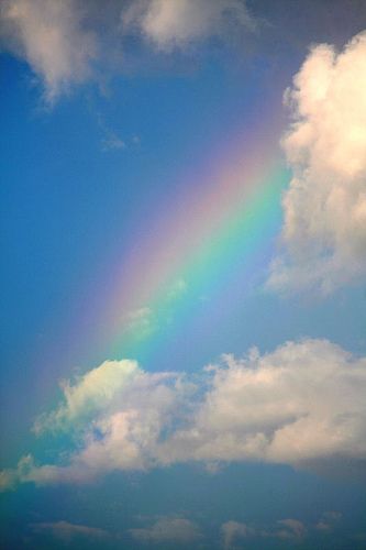 Rainbow! Sign that God will never flood the whole earth again!  God's promises are always beautiful.... Rainbow In The Sky, Rainbow Rain, God's Promise, Rainbow Sky, No Rain, Love Rainbow, Sky And Clouds, Beautiful Rainbow, Beautiful Sky