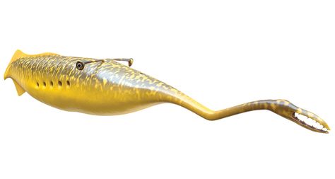 The identity of a 300-million-year-old enigmatic creature known as the “Tully monster” is a mystery no longer. Tully Monster, Field Museum Chicago, Ancient Fish, Field Museum, Loch Ness Monster, Prehistoric Creatures, Prehistoric Animals, Sea Monsters, Weird Creatures