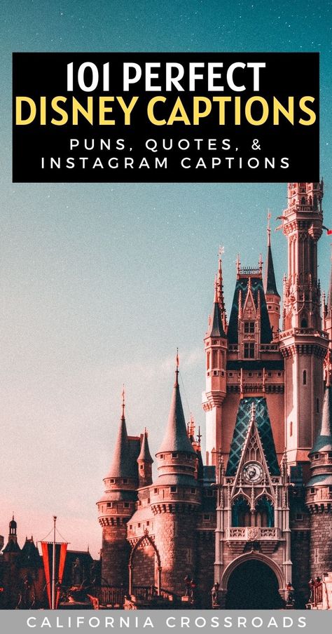 Funny Disney, Disney Captions, Sea Captions, Disney Puns, Sea Quotes, Trip To Disneyland, Instagram Couples, Disney Sea, Disney Instagram