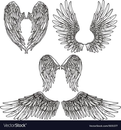 Fallen Angel Wings Tattoo On Back, Mosaic Tutorial, Tattoo Wings, Alas Tattoo, Wings Sketch, Angel Wings Drawing, Angel Vector, Abstract Sketches, Angle Wings