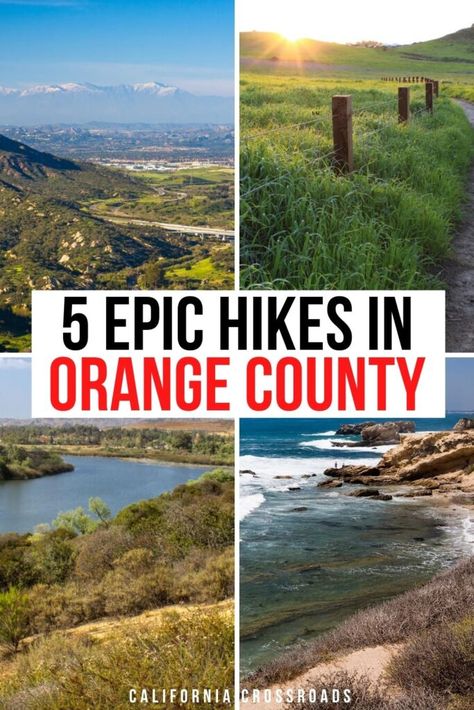 5 Best Orange County Hikes for All Levels Best Hikes In Orange County Ca, Hikes In California, Hiking California, Southern California Hikes, Oc California, Oxnard California, Crystal Cove State Park, Beginner Hiking, Hiking Summer