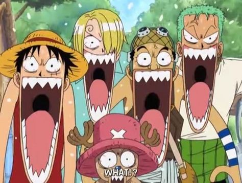 what?!xd one piece zoro sanji usopp chopper luffy funny faces Anime Funny Face Wallpaper, Luffy Usopp Chopper Funny, Luffy Funny Face Wallpaper, Funny One Piece Faces, Zoro One Piece Funny, Sanji Funny Face, Zoro Funny Face, One Piece Funny Icons, Luffy Funny Face