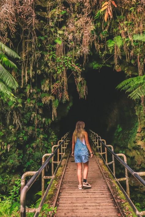 Thurston Lava Tube Hawaii, Hawaii Volcanoes National Park Pictures, Turtle Canyon Oahu, Waikoloa Hawaii Things To Do, Volcano National Park Hawaii, Hawaii Kona Big Island, Things To Do In Kona Hawaii, Big Island Hawaii Things To Do, Witchy Homestead