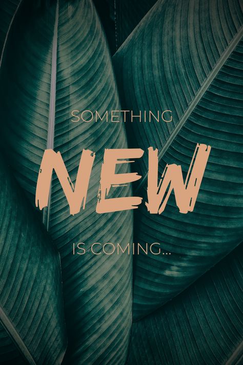 Something New Is Coming, The Words, Something New, Coming Soon, Skin, Green